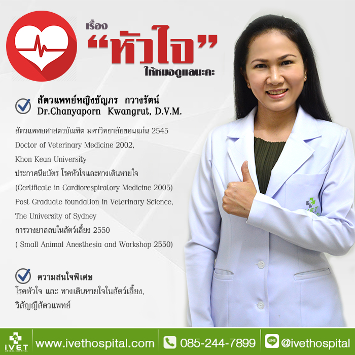 สัตวแพทย์หญิงชัญภร  กวางรัตน์ Dr.Chanyaporn Kwangrut, D.V.M.